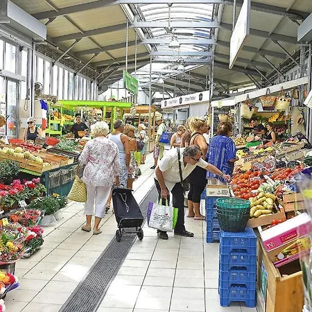 Jaya- 4/6 Pers-standing Neuf Hyper Centre Terrasse